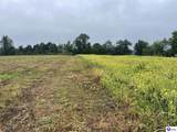 Tract 10 Castleman Road - Photo 8