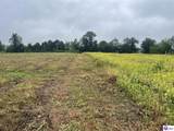Tract 10 Castleman Road - Photo 9