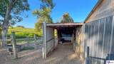 175 Joe Kerr Road - Photo 13