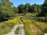 723 Flat Rock Road - Photo 20