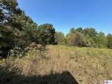 723 Flat Rock Road - Photo 42