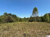 723 Flat Rock Road - Photo 44