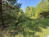 0 Dewitt Road - Photo 1