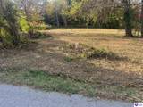 640 Joe Brown Road - Photo 2