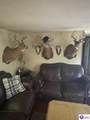 4332 Pine Ridge Road - Photo 12