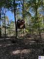 4332 Pine Ridge Road - Photo 7
