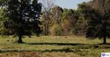  Roy Road - Photo 13