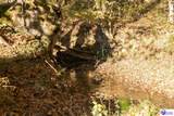  Roy Road - Photo 31