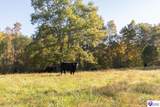  Roy Road - Photo 33
