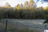  Roy Road - Photo 4