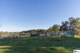  Roy Road - Photo 40