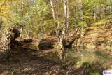  Roy Road - Photo 5