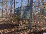 200 Junior Stilts Road - Photo 10