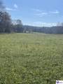 200 Junior Stilts Road - Photo 6