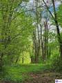 0000 Rineyville Big Springs Road - Photo 5