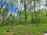 0000 Rineyville Big Springs Road - Photo 7