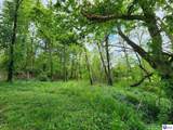 0000 Rineyville Big Springs Road - Photo 8