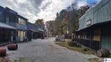 101 Huckleberry Knob Road - Photo 11