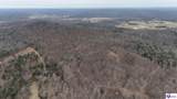 Tract 3-4 Priceville Road - Photo 8