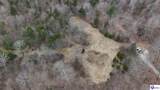 Tract 3-4 Priceville Road - Photo 10
