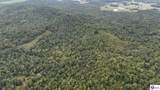 Tract 3-4 Priceville Road - Photo 15