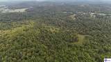 Tract 3-4 Priceville Road - Photo 19