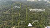 Tract 3-4 Priceville Road - Photo 2