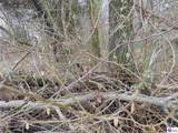 372 Lee Road - Photo 4