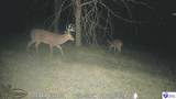 600 Cora Wilborn Road - Photo 23
