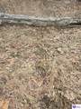 Tract 1 Wand Cemetery Road - Photo 14