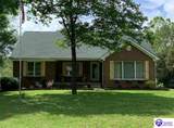 463 Pin Oak Drive - Photo 1