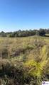 TRACT 1 Roy Road - Photo 4