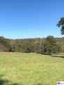 TRACT 1 Roy Road - Photo 5