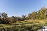 TRACT 3 Roy Road - Photo 4