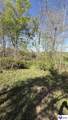 615 Highway 88 - Photo 15