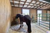 55 Tobacco Road - Photo 58