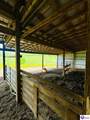 9883 Hwy 333 - Photo 14