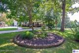 3297 Gap Hill Road - Photo 93