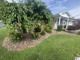 906 Gardenia Drive - Photo 48