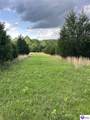 0 Locust Grove Road - Photo 6