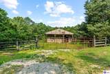 410 Cedar Flat Road - Photo 45