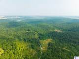 410 Cedar Flat Road - Photo 6