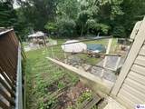40 Sunflower Lane - Photo 19