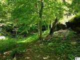 5579 Falls Of Rough Road - Photo 2