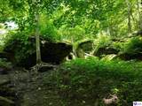5579 Falls Of Rough Road - Photo 4