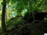 5579 Falls Of Rough Road - Photo 5