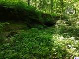 5579 Falls Of Rough Road - Photo 6