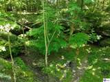 5579 Falls Of Rough Road - Photo 7