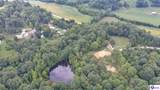 0 Mcclure Cemetery Road - Photo 10