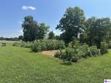 225 Shelbi Dr - Photo 23